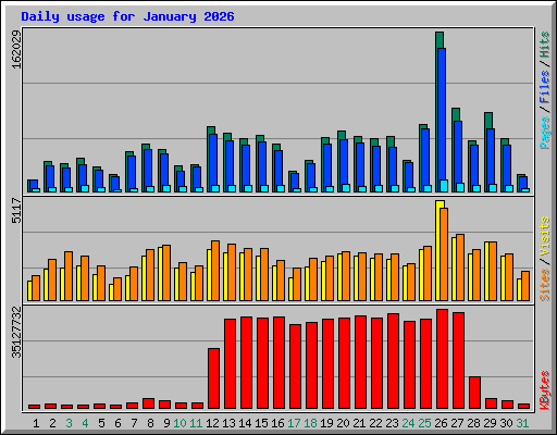 Daily usage for January 2026