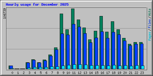 Hourly usage for December 2025