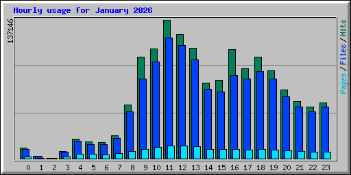 Hourly usage for January 2026