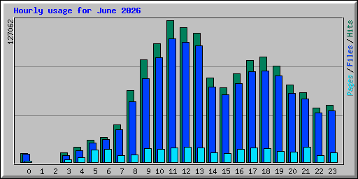Hourly usage for June 2026