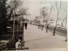 Avenida Ramón y Cajal frente a la actual Facultad de Económicas